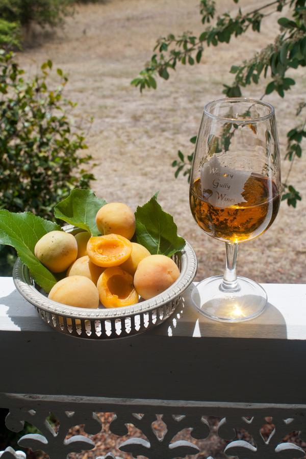 Whiskey Gully Wines Villa Stanthorpe Buitenkant foto